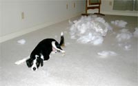 fluff--it's not just in toys anymore!  Ha take that, pillow!