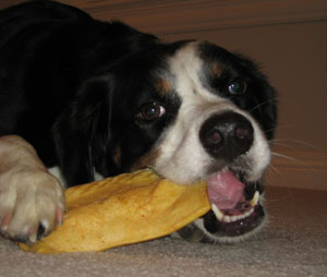 truth be told I like the basted ones too