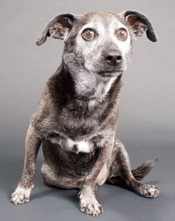 we miss you so much!