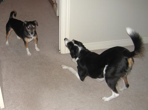 da-dum...da-dum...DA-DUM!