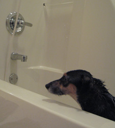 bwhahaha!  Somebody else gets THE TUB.