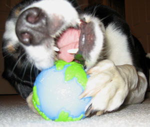 So far Australia is my favorite but China wasn't bad