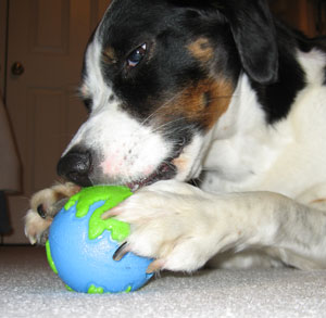 All the people of Tiny Earth bow to me!