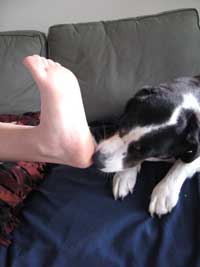 work out all the rough spots