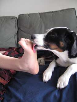 the heart and sole of the job