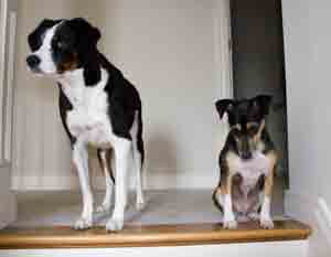 Standing at the top of the Staircase 500 track, before it was resurfaced