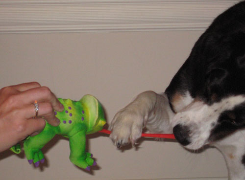 Stick your tongue out at me, will ya?