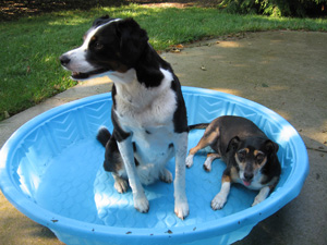 see?  even she can tell she tastes bad