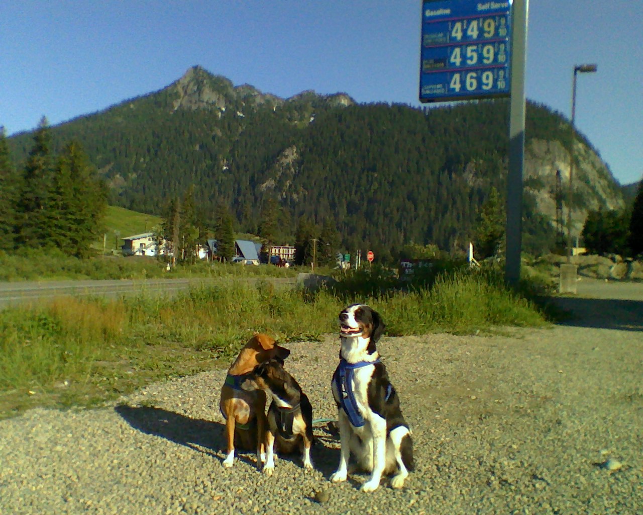 Smilin' in Snoqualmie pass