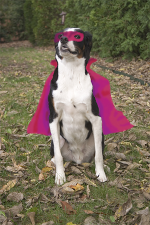 ...to Bugger Boy, guardian of Litchfield Lane!