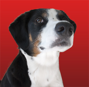 this is my money shot