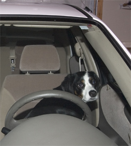 you have to sit here to make it go