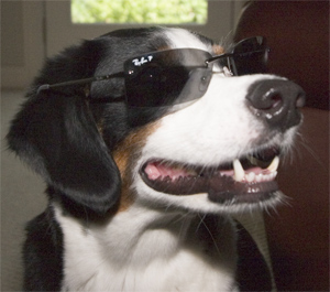 driving is easy when you look cool