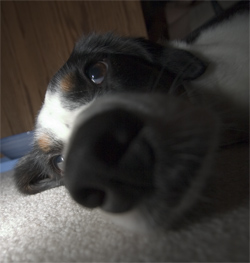 yep, it's dark alright