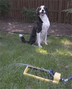 this one's overrated, if you ask me