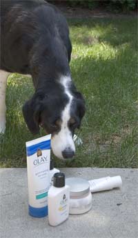 they smell nice, but do they really work?