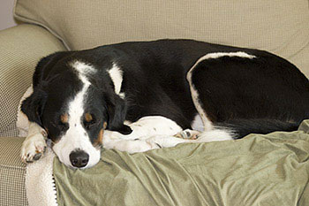 what??? It makes me sleepy!