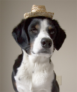 it seemed like a cowboy kind of place to me