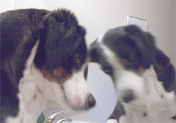 nope, I still look the same.  Ravishingly handsome.