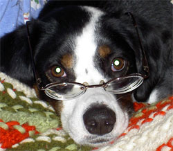 nope, I don't read much. Hurts my brain.