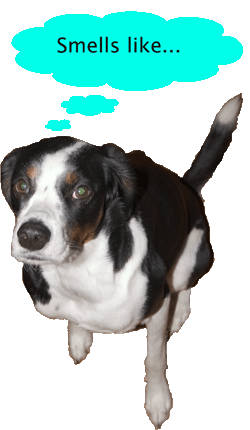 dum da dum....DOGZILLA!!!