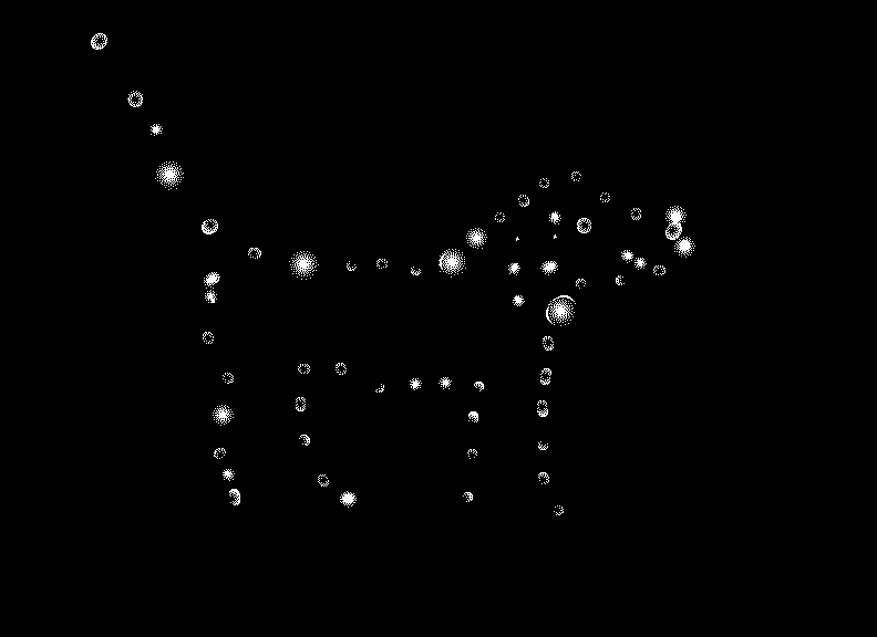 twinkle twinkle little Lyle