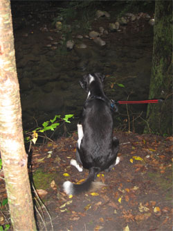 the first part is to find a cliff