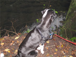 then stand on the edge