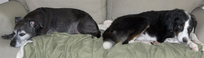 I spent my whole weekend on the couch