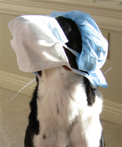 Nurse! Mop my brow! STAT!