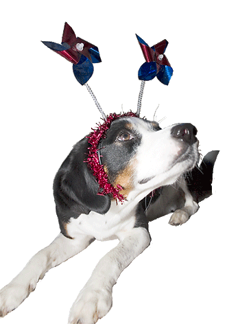 looking forward to 2006!