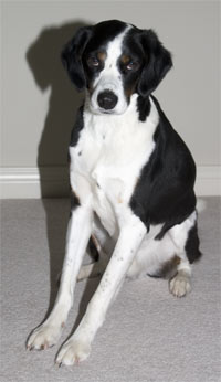 I am humbled by the smartiness of my friends