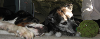 LB says this is a good example of me being a news-sance. Whatever.