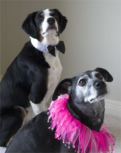 we're dressed, we're ready!  Let's go!