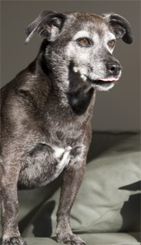 she could just say no, but she has to add the raspberry too