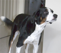 a pretty little picture of me to freshen your eyes