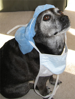 she looks good but she's not very good at the job