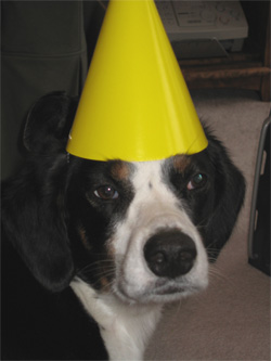 she says this is not party enough