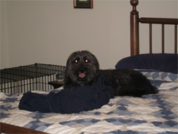 she has made herself right at home but she's not working very hard