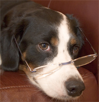 get your reading glasses too