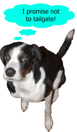 not that I can help it if anyone wants to be by my handsome tail