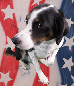 Happy 4th of July! Freedom rocks!