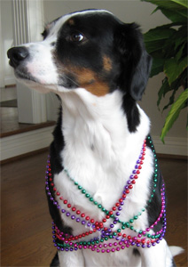 I can't eat the beads, so why bother?