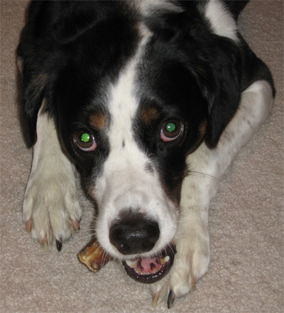 everybody's doin' it, doin' it