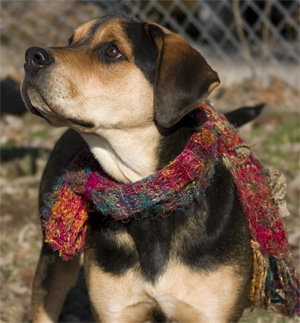 this lovely lady can play Seva.