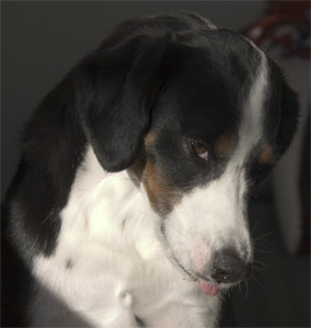 I'd never kiss and tell