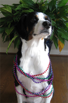 the leaf hat makes the outfit, don't you think?