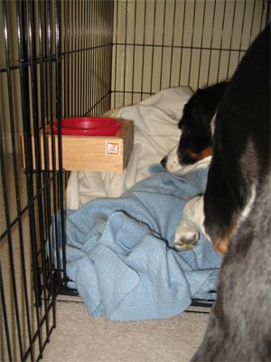 I know he's in here somewhere