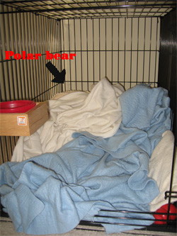 how can you argue with the evidence?