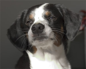 I'm irresistable. Kiss me.